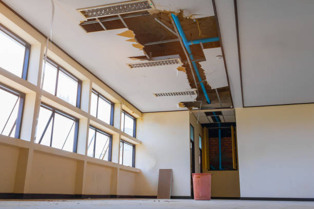 Water damage restoration process in Fairview Heights, IL
